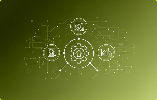 Ecommerce Delivery Process